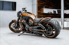 Harley-Davidson  Night Rod Jack Daniels Design