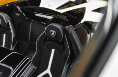 Lamborghini Aventador BR SVJ Roadster, FULL CARBON, LIFT