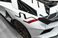 Lamborghini Aventador BR SVJ Roadster, FULL CARBON, LIFT